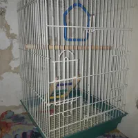 قفس بزرگ طوطی