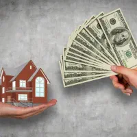 فروش-باغ-کامل-در-جیلان-اباد-قهاب-جنوبی