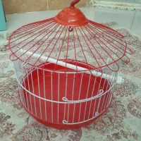 قفس پرنده