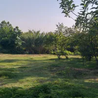 400-متر-زمین-مسکونی-روستایی-با-پروانه-ساخت