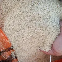 نیم دانه خالص هاشمی تمیز خوش پخت