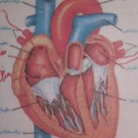 جزوه زیست شناسی دهم استاد خیراندیش ( ماز)