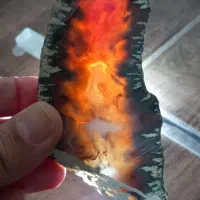 دو برش ناب و جذاب
