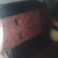 فروش شومینه گازی