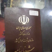 شناسنامه پیدا شده