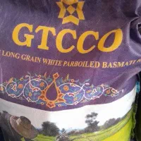 برنج جی تی سی