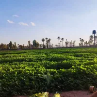 سلام فروش یک قطعه زمین بر  خیابان اصلی روستا تیزاب