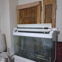 درب چوبی ورودی ساختمان