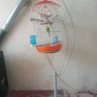 پرنده