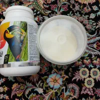 سرلاک  پرنده   a19 و پرسا