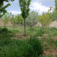 زمین 1100 متر سلوگرد جاده سنتو معاوضه با خودرو