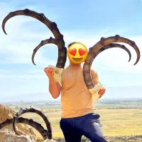 پازن - قوچ - آیبکس سیبری- فایبرگلاس