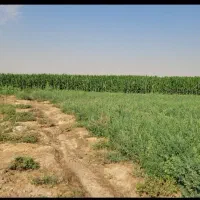 زمین با پروانه دامداری و مجوز چاه آب    کد  ۲۲۰