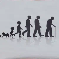 استخدام منشی