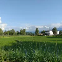 200متر-ویلا-جنگلی-ویوودریا-شهرکی-wonderful