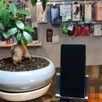 X7poro|موبایل|شیراز, بالا کفت|دیوار