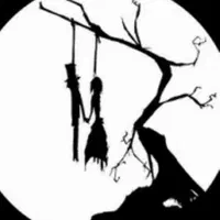 یک جفت مرغ عشق جوان و مست