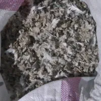 کود کبوتر