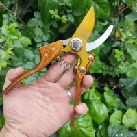 قیچی شاخه زنی هرس درخت اره تاشو انبر دسته بلند