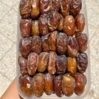 رطب کبکاب