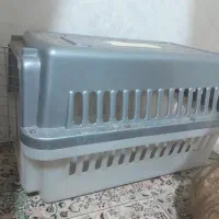 باکس حمل سگ و گربه