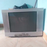 تلوزیون