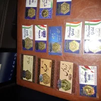 پارسیان
