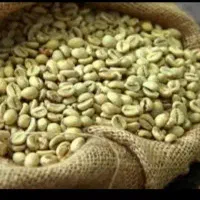 دان سبز قهوه