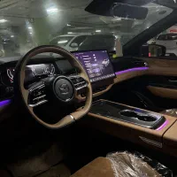 ez6 خاکستری خشک
