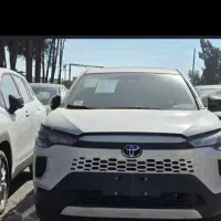 واردات خودرو و پلاک‌ملی