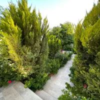 باغچه ۶۰۰ متری/ شهرکی ممتاز/در لوکیشنی ممتاز/سندی