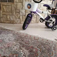 دوچرخه ۱۲