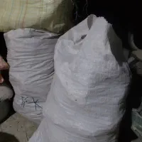 کود کبوتر خشک