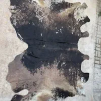پوست بسپار زیبا خاص