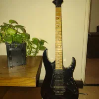 گیتار الکتریک Ibanez rg350 mz