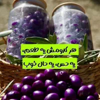 زیتون مشهد|خوردنی و آشامیدنی|مشهد, پردیس|دیوار