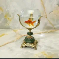 تنگ ماهی در چند مدل