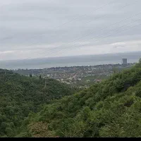 زمین-چمخاله