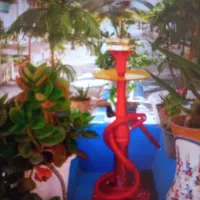 شاگرد برای کار در کافه