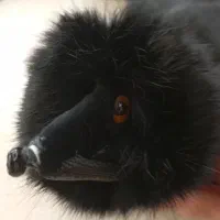 خز طرح سمور