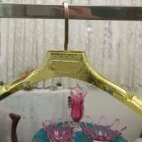 چوبکار طلایی