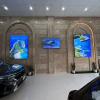 شرکت واردات خودروی اروندی