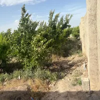 باغچه هزار متری|فروش زمین و ملک کلنگی|تهران, سرو آزاد|دیوار
