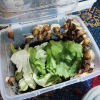 انواع حلزون طبی و گیاهی
