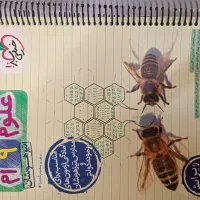 فروش کتاب علوم تیزهوشان نهم