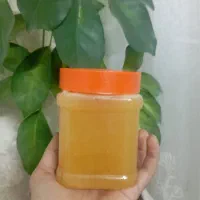 عسل درجه یک طبیعی صد درصد ارگانیک (نیم کیلو)