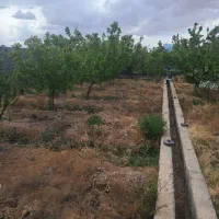 کوچه-یوسف-روبروی-تالار-شهرداری-حبیب-اباد