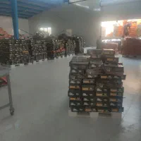 استخدام نیروی کار