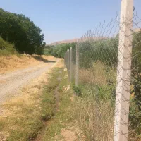 باغ مثمر