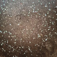 خاک گل و گیاه